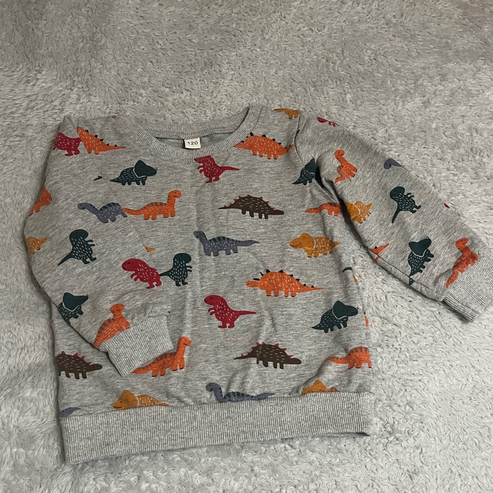 Dinosaur Sweatshirt Kids EU 120 US (5-6) Gray Long Sleeve Dino Pullover Colorful